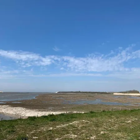 Spacious Coastal For 6 Blankenberge